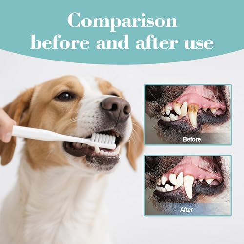 Bioline Köpekler İçin Ağız Temizleme Jeli ve Diş Fırçası Seti