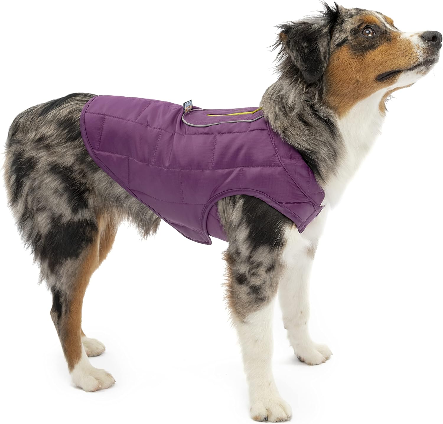 Alternative view of Kurgo Loft Köpek Ceketi - Ters Çevrilebilir Polar Kışlık Mont - Soğuk Hava Koruması - Koşum Takımı veya Ek Katmanlarla Giyin - Yansıtıcı Vurgular, Tasma Erişimi, Suya Dayanıklı - Koyu Menekşe/Kömür,