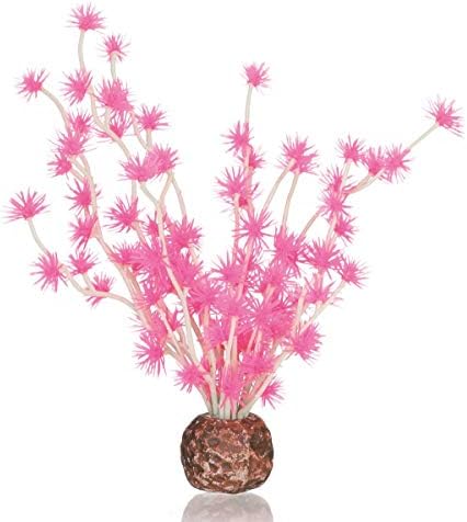 biOrb Bonsai Topu Pembe