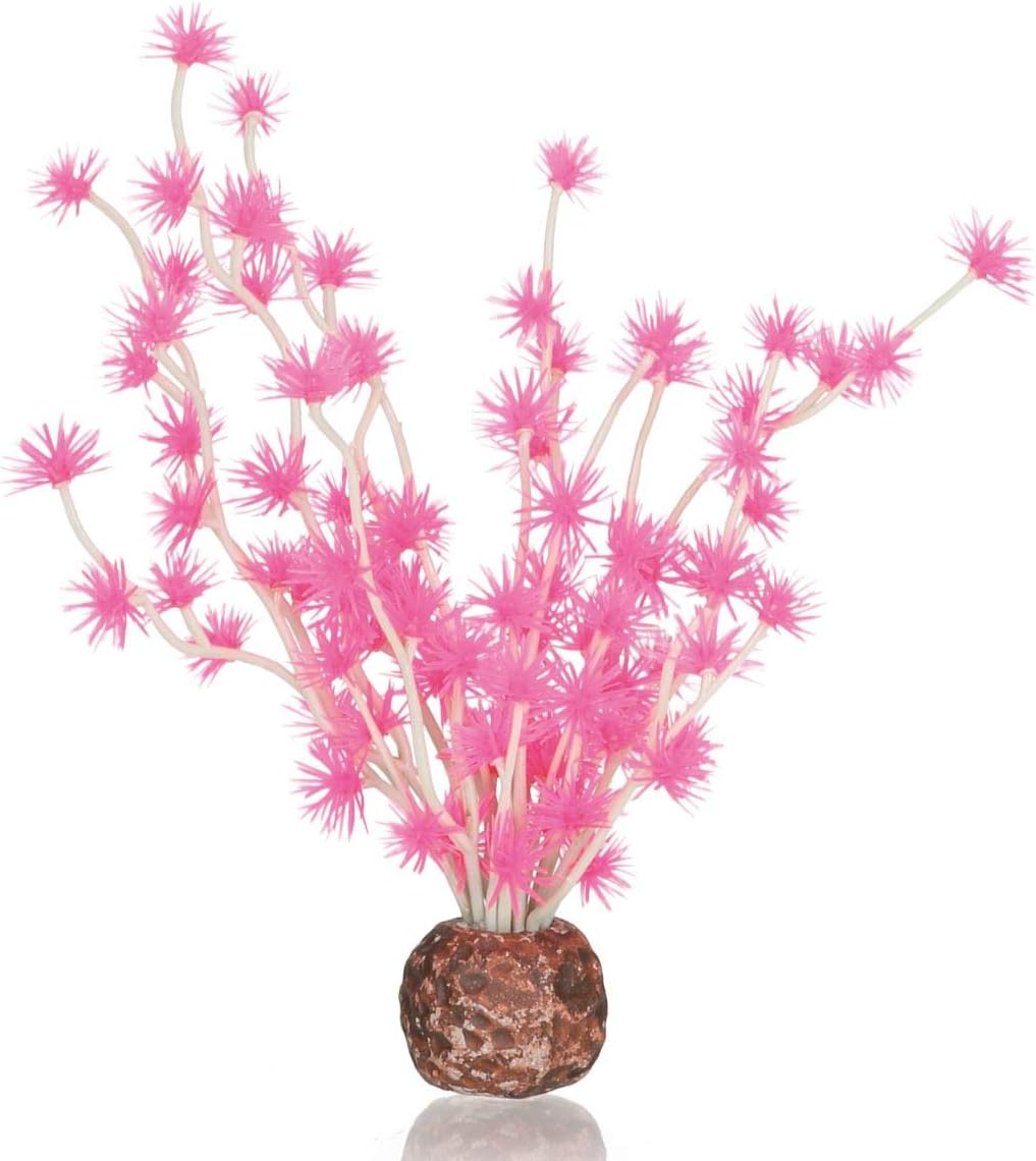 Alternative view of biOrb Bonsai Topu Pembe