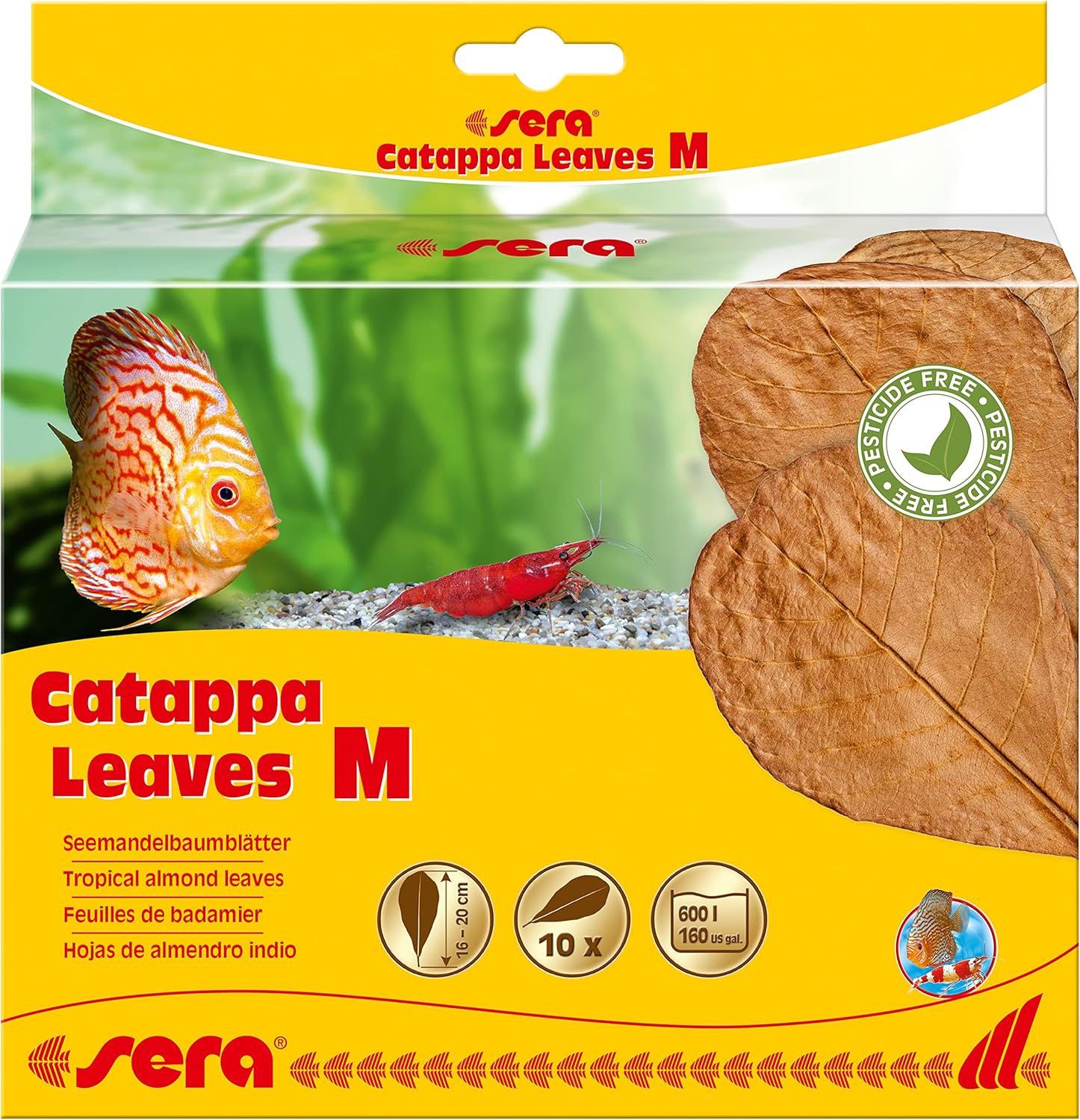 Sera Catappa Yaprağı M 18 cm (10 Adet)