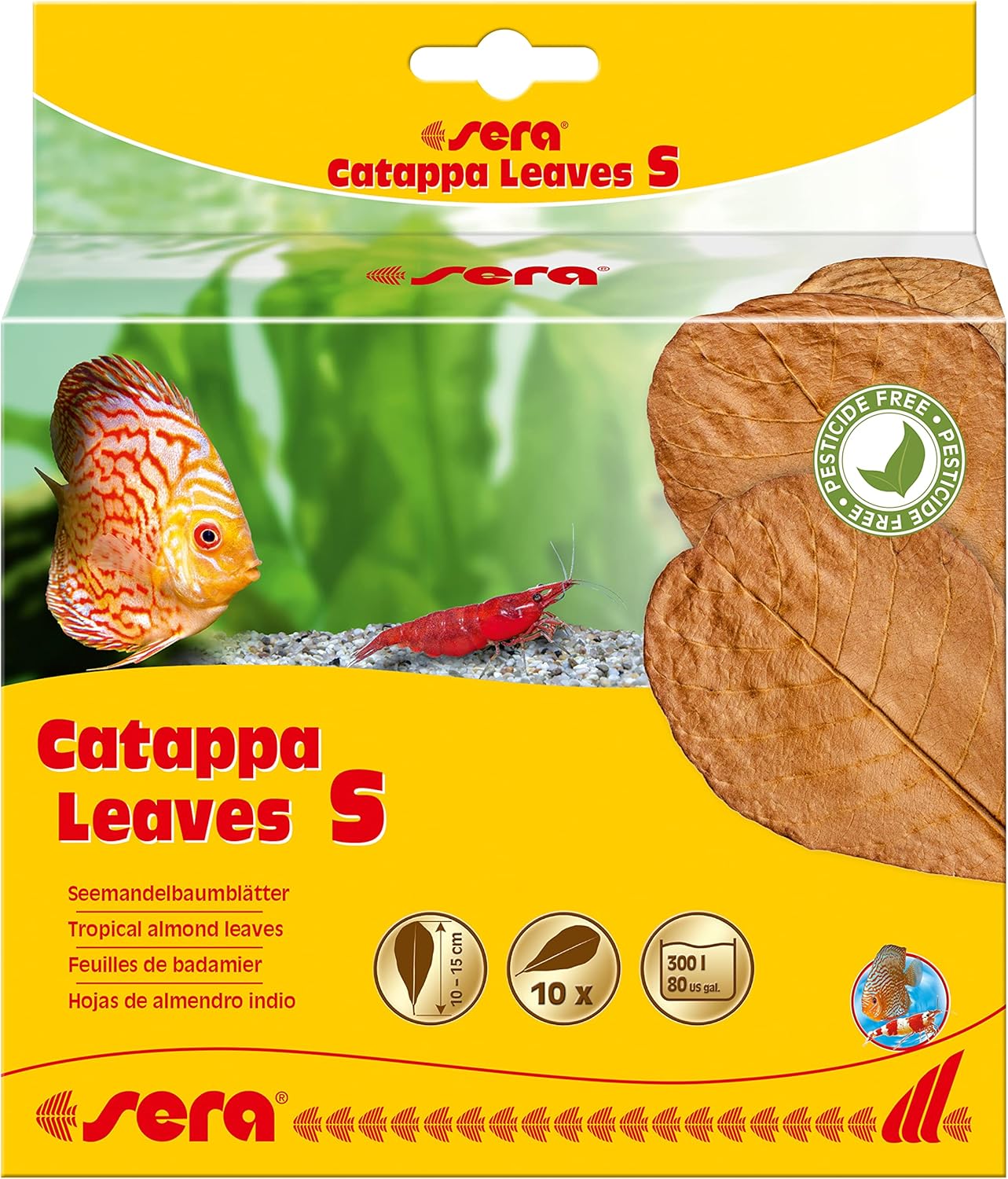 Alternative view of sera Catappa Leaves S 10-15 cm (10 adet) - Doğal su arıtımı için deniz badem ağacı yaprakları