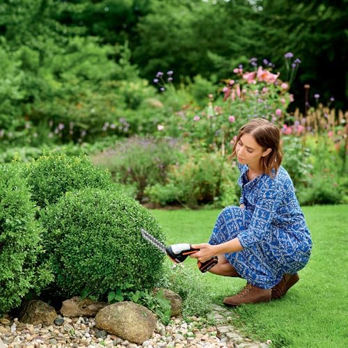 WORX WG801E.5 20Volt 2.0Ah. Li-ion Şarjlı Profesyonel Avuç İçi Çim Kesme, Çit Budama/Çapalama
