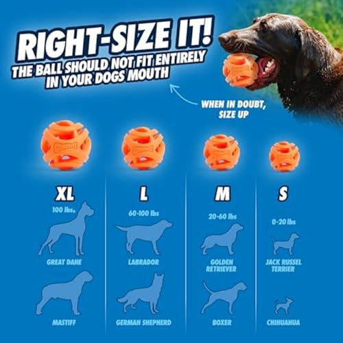 Alternative view of Chuckit! Air Fetch Ball Köpek Oyuncağı, Orta (6,4 cm çap), 9-27 kg köpekler için, 2'li paket