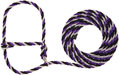 Rope Halter