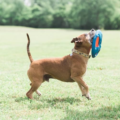 Chuckit! Fetch Flight Frizbi