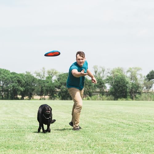 Alternative view of Chuckit! Fetch Flight Frizbi