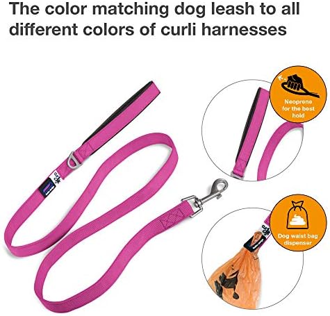 Basic Leash Fuchsia L