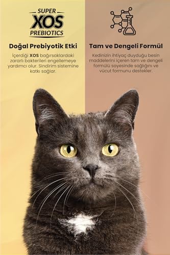 Reflex Plus Adult Cat 33/14 Chıcken Multı 15 Kg
