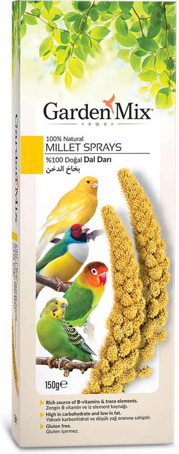 Gardenmix Platin Sarı Dal Darı