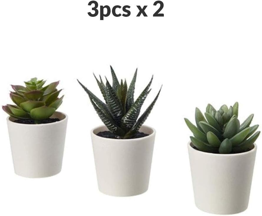 Fejka Yapay Saksı Bitkisi Saksılı İç Mekan Dış Mekan Etli / 3'lü Paket Boyutu 2 ¼ " 3'lü Paket 203.953.31