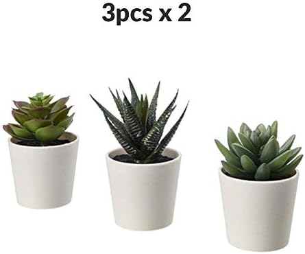 Alternative view of Fejka Yapay Saksı Bitkisi Saksılı İç Mekan Dış Mekan Etli / 3'lü Paket Boyutu 2 ¼ " 3'lü Paket 203.953.31