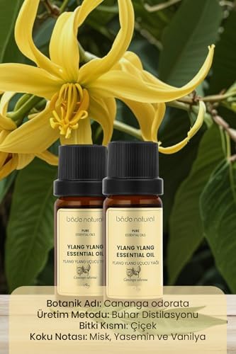 Bade Natural Ylang Ylang Uçucu Yağı 1 Paket (1 X 10 Ml)