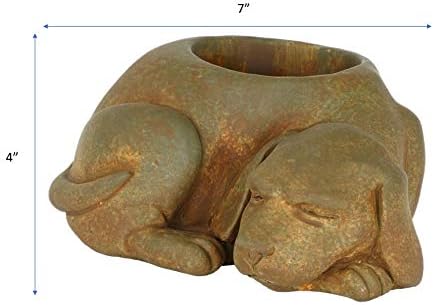 and Çimento Uyuyan Köpek Saksı, Drenaj Delikli, İç-Dış Mekan, Pas Kahverengi, 17.8 cm