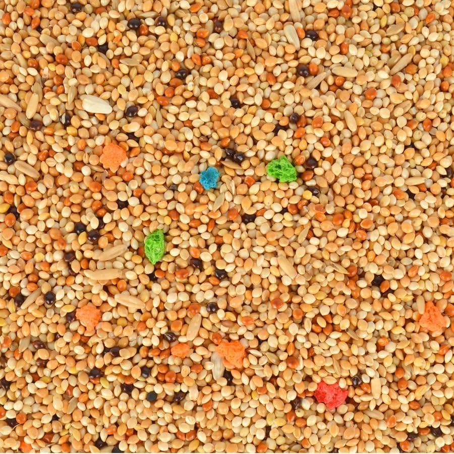Alternative view of Quik Gurme Muhabbet Kuşu Yemi 500 G
