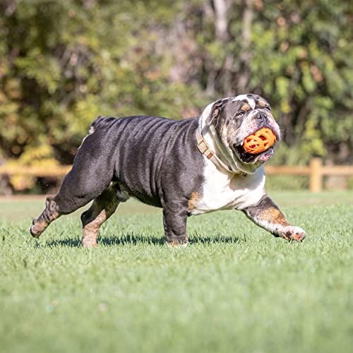 Alternative view of Chuckit! Air Fetch Futbol Köpek Oyuncağı, Turuncu