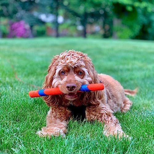 Chuckit! Ultra Fetch Stick Köpek Oyuncağı