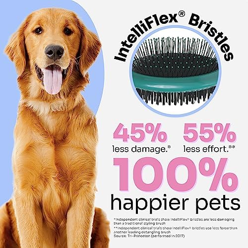 Alternative view of Wet Brush Grooming Pet Brush, 2'si 1 arada çift taraflı detangling evcil hayvan fırçası – Ultra yumuşak IntelliFlex kıllar gevşek saç ve kir giderici, evcil hayvan bakım temizleme fırçası,