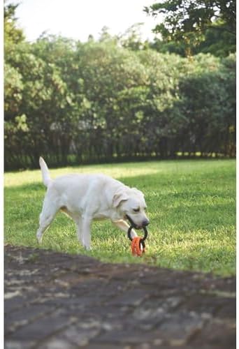RING KING KÖPEK OYUNCAĞI TRIPLE ORANGE/BLACK