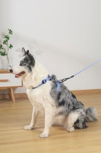 Alternative view of GENTLE DOG GÖĞÜS TASMASI BLUE (L)