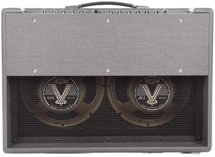 Silverline Deluxe 2 x 100- Watt 2x12 Inch Combo Amfi (Silver)