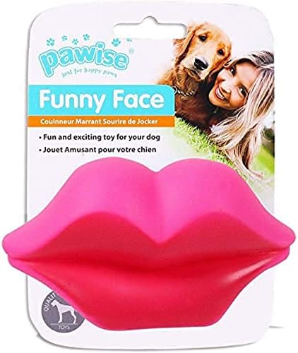 Fluval Pawise Toy-Lip Köpek Oyuncağı