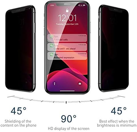 11 Pro (5.8'') Privacy 5D Gizlilik Filtreli Cam Ekran Koruyucu Siyah [ 11 Pro ile Uyumlu Ekran Koruyucu]