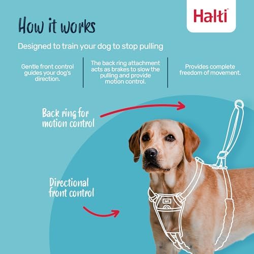Alternative view of Halti No Pull yemek takımı ve antrenman tasması kombi paket, Stop Dog Pulling on Walks with Halti, Includes Medium Halti No Pull Harness and Double End Lead