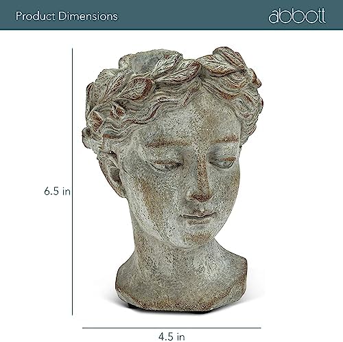 Abbott 27-GODDESS-535-XS Xs Bayan Başı Bitki Saksısı 16,5 cm Y 16,5 cm Y Gri