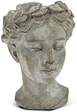 Alternative view of Abbott 27-GODDESS-535-XS Xs Bayan Başı Bitki Saksısı 16,5 cm Y 16,5 cm Y Gri
