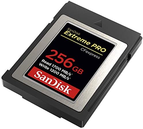 Extreme Pro CFexpress hafıza kartı Tip B 256 GB (1.700 MB/s okuma, 1.200 MB/s yazma, RescuePRO Deluxe, sorunsuz RAW videolar, 4K, XQD uyumluluğu)