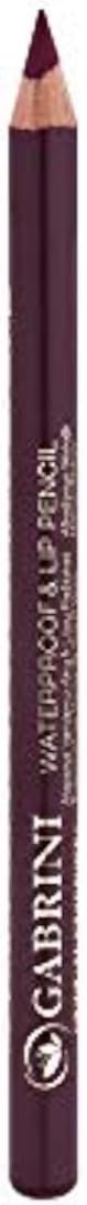Lip ve Eye Pencil 12