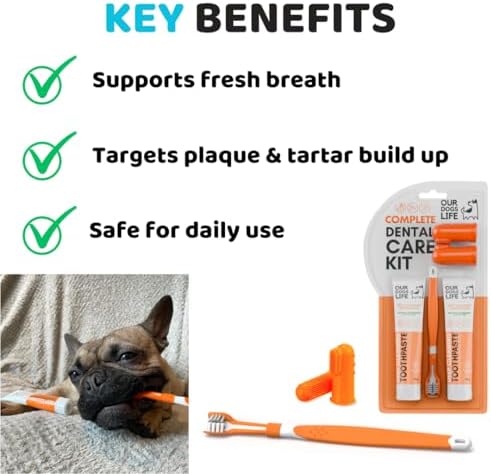 Diş Macunu ile Köpek Diş Fırçası | Onaylanmış Köpek Diş Kiti | Köpekler için Üç Başlı Derin Temizleme Diş Fırçası +%100 Doğal Diş Macunu | Nefes Alır ve Plakları Çıkarır