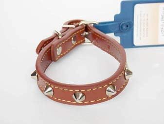 Eastland Metal Aksesuarlı Deri Köpek Boyun Tasması, 35 Cm