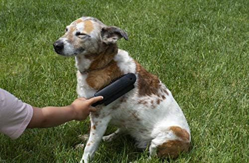 Alternative view of FURemover Plus, Kauçuk Pet Saç Çıkarıcı Fırça, Köpekleri ve Kedileri Bakım Etmek İçin Nazik Kıllı Siyah, 2'li Paket, Siyah