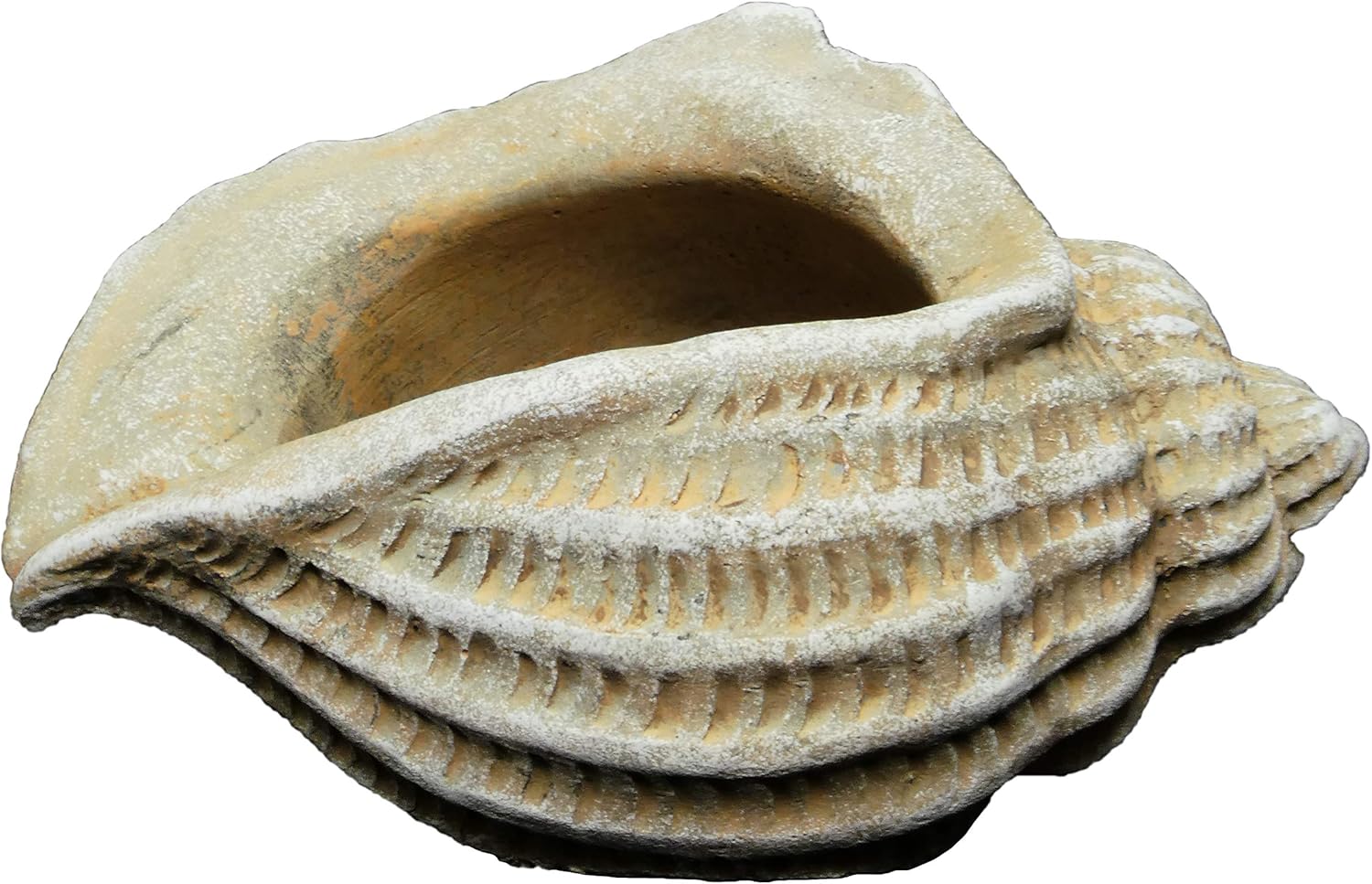 Alternative view of and 260024-C149 Jagger Kabuğu Sukulent Saksısı, Kum