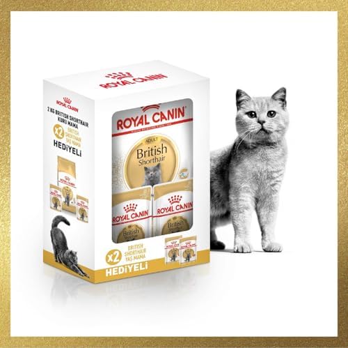 Canin Adult Yetişkin British Shorthair Kedi Maması 2 Kg + Canin Yetişkin British Shorhair Yaş Maması 2 Adet (Original)