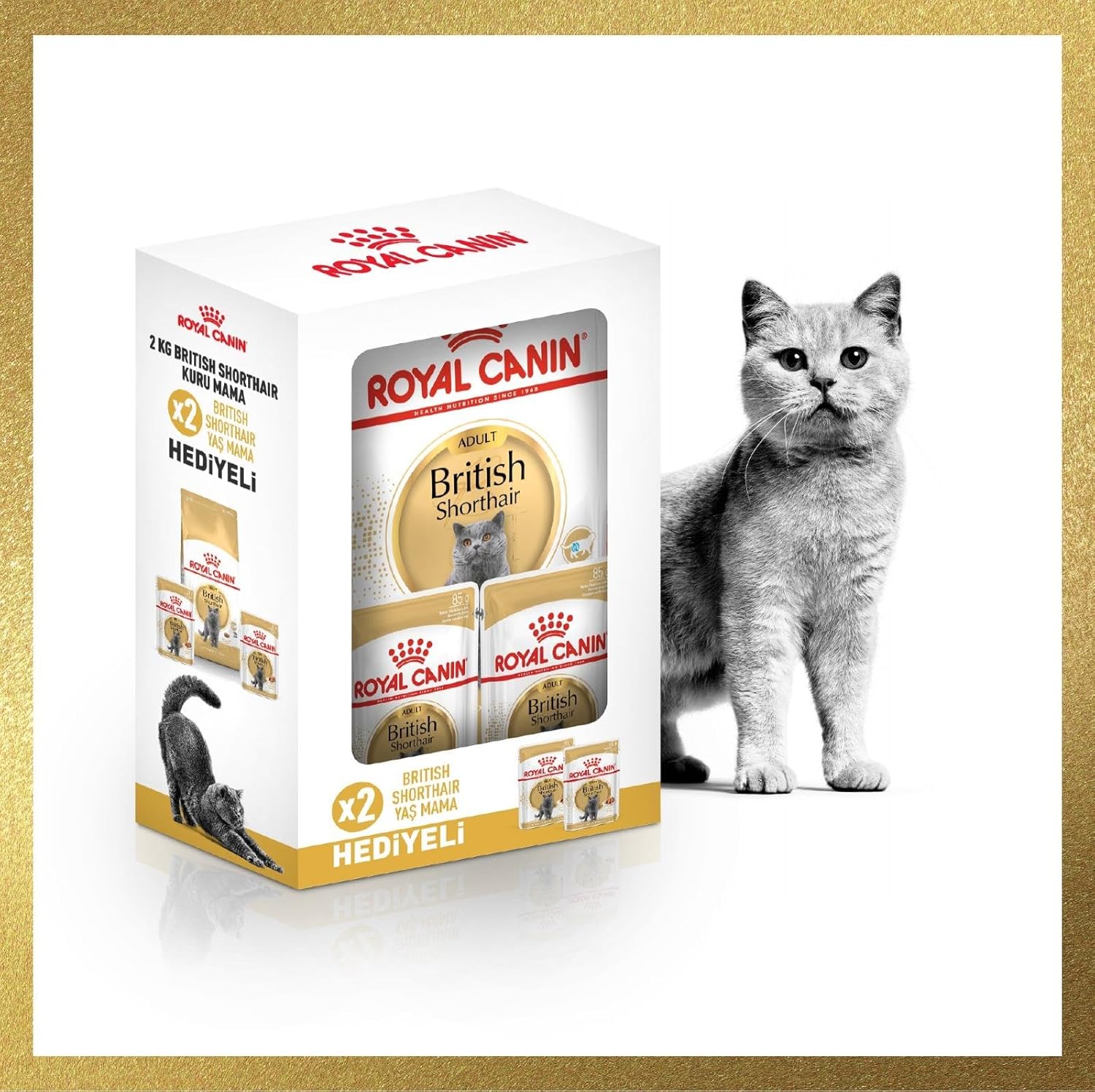 Alternative view of Canin Adult Yetişkin British Shorthair Kedi Maması 2 Kg + Canin Yetişkin British Shorhair Yaş Maması 2 Adet (Original)