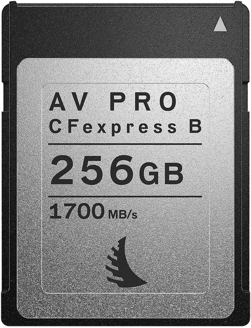 AV-Pro-CFexpress 256 GB hafıza kartı