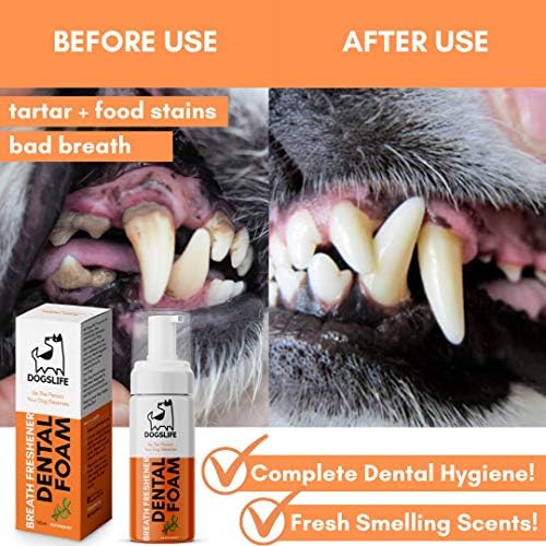 Köpek nefes tazeleyici | köpekler için nane ağız gargarası | Kötü köpek nefesini iyileştirmek için güvenli ve kolay diş köpüğü! Tüm köpekler için 150 ml Nazik Köpek Dental Sprey