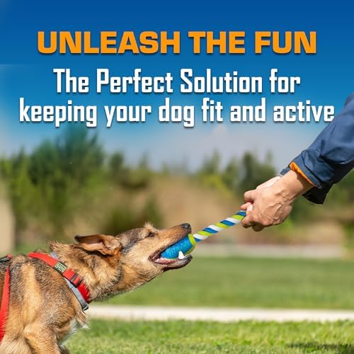 Alternative view of Nerf Dog 3 Parça Köpek Oyuncak Hediye Seti, 7 inç TPR Klasik Squeak Futbol, 10,5 inç TPR 3 Halka Çekme ve 14,5 inç TPR 2 Parça Nitro Blitz İp Kuyruklu Squeak Futbol, Nerf Sert Malzeme, Çok Renkli