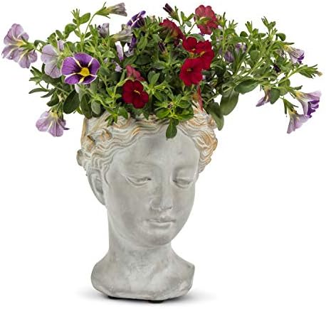Abbott 27-APHRODITE-535-XS Small Kadın Baş Saksısı, Gri/Altın
