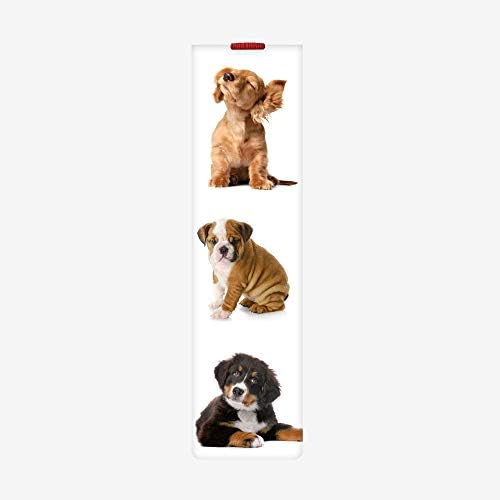 Alternative view of Dogs