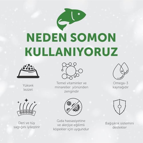 's Protection Care Beyaz Tüylü Köpekler İçin Tahılsız Somonlu Tüm Irklar Yavru Köpek Maması 1.5kg