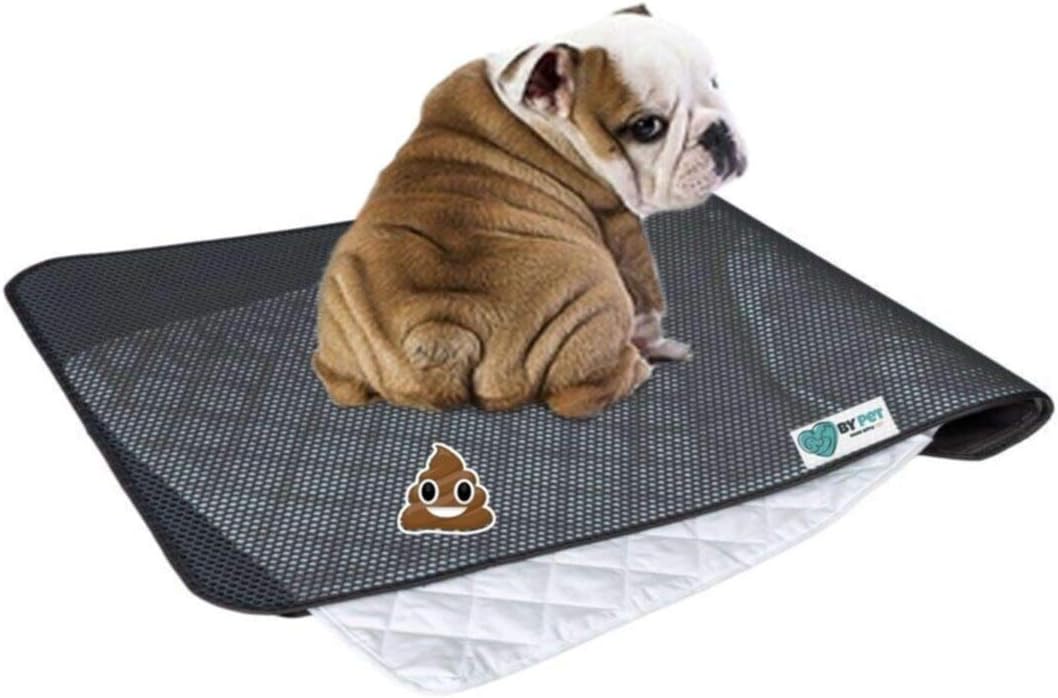 Bypet Yıkanabilir Köpek Çiş Pedi - Köpek Tuvalet Eğitim Seti (3 Katmanlı) 90cmx60cm Yedekli