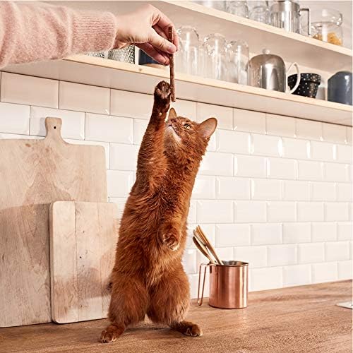 GimCat Sticks Kümes Hayvanları - Yüksek Et İçerikli ve Şeker Katkısız Yumuşak Çiğneme Çubukları - 1 Çoklu Paket (10 Çubuk)