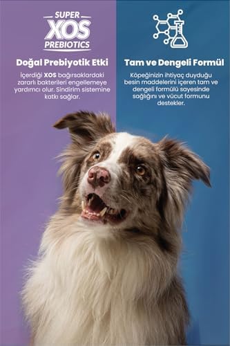 REFLEX PLUS MS Somonlu Köpek Maması 8 Kg