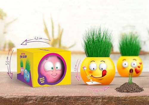 Emoji Temalı Çim Adam 6'lı Set – Çocuklar İçin Eğitici ve Eğlenceli Bitki Yetiştirme Kiti