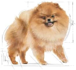 Alternative view of Canin Pomeranian Yetişkin Köpek Irk Maması 3 Kg Renkli