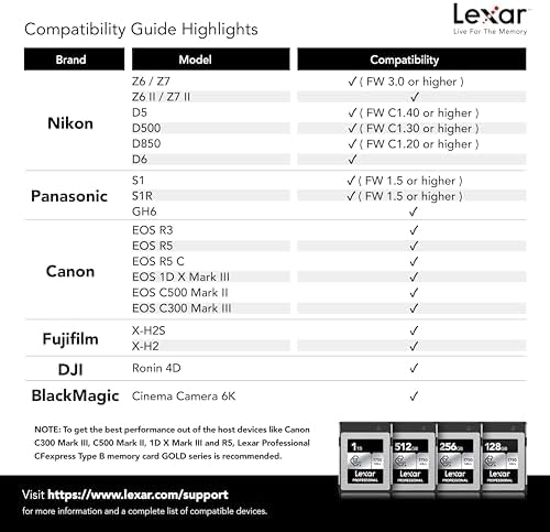 128GB Profesyonel CFexpress Tip B Gümüş Serisi Hafıza Kartı, Fotoğrafçılar, Videografçılar, 1750/1300 MB/sn'ye kadar, 8K Video (LCXEXSL128G-RNENG)